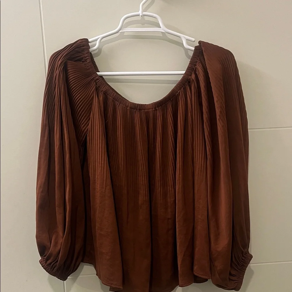 Express: Elegant Brown Pleated Off Shoulder Top - Picture 1 of 6